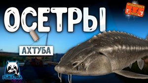 РР4/ рыбалка для души, ловим как универсал, общаемся 13.01.24