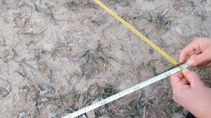 Как легко и быстро сделать разметку фундамента.