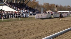 Конные скачки. день Республики Адыгея. 2019