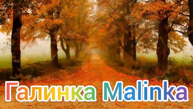 Ольга Уралочка live / Переезд в Новую квартиру /Обзор Влогов /Уралочка и Сафар /
