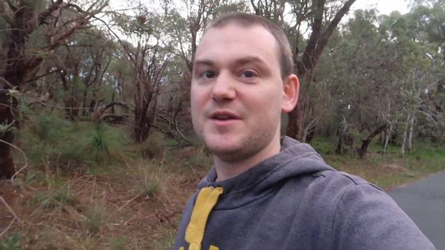 The Story of Monkey Steals Peach смотреть онлайн