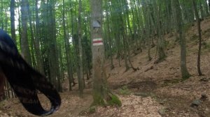 Приют Фишт - Бабук-Аул, ч.2 "Весёлый спуск"