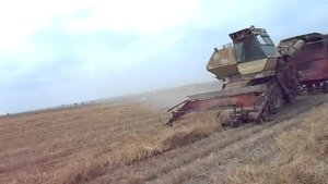 Уборка семян люцерны 2016 HARVEST ALFALFA SEEDS IN UKRAINE