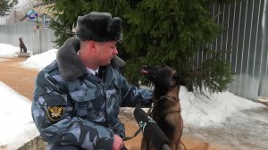 День сотрудника конвойной службы отмечают служащие УФСИН и их четвероногие коллеги