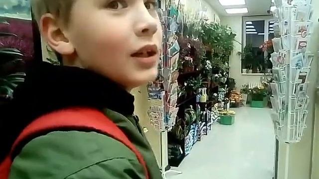 Цветовик