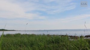 Море, чайки, прибой.