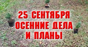 Осенние дела и планы.mp4
