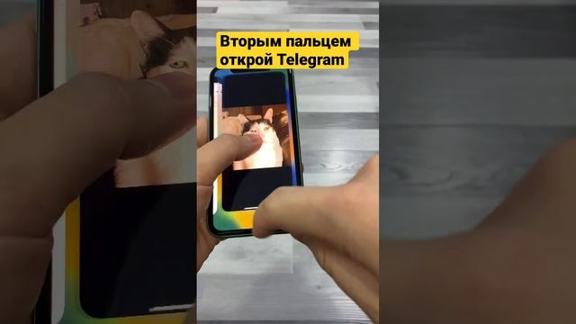 Как сделать СТИКЕР Telegram из фотки В ПАРУ КЛИКОВ! ?На iOS 16 и новее ☝️