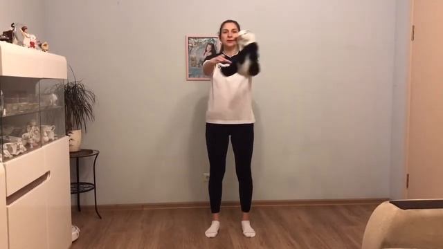 ОРУ с игрушкой (младший возраст). Сороковская В.В. смотреть онлайн