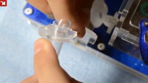 Почему не переселяются муравьи? Camponotus parius. Ферма Белый дом.