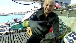 Уникальные находки на дне Черного моря