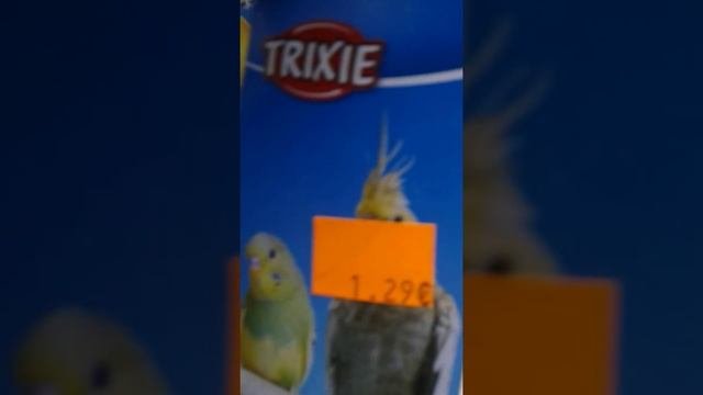 Всё что любят больше всего волнистые попугаи