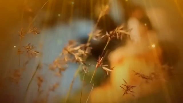 Загуляла осень,загуляла смотреть онлайн