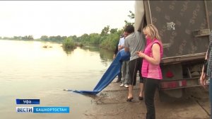 В реку Белую выпустили более 9 тысяч мальков стерляди