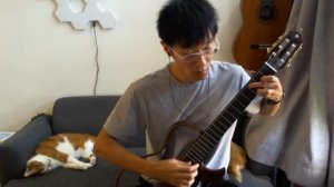 Mice on Venus (Minecraft music) - C418 - Classical Guitar - 20220727