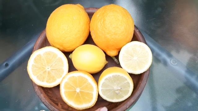 Гибрид . C. clementina x C. limon.