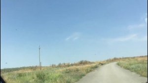 Забытые хутора Дона, заросли Будяком