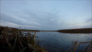 УДАЧНАЯ ОХОТА НА УТОК НА АСТРАХАНСКИХ РАСКАТАХ.2017
