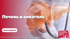Печень и алкоголь: Как это связано?