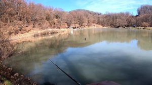 Graphiteleader, прости. Я был не прав... CORTO Nuovo Prototype 542UL-HS, первые впечатления