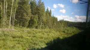 Зелёный поезд