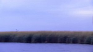 Охота на уток !Павел Салаш - открытие охоты на уток ! Мой новый клип на авторскую песню!