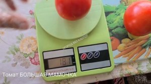 Томат Большая Мамочка - мой опыт выращивания, наблюдения и выводы.
