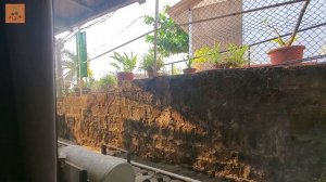 Обзор отеля Oceans 7 Ashwem 3* отель с муравьями за 1000 рублей ГОА Индия Ашвмем