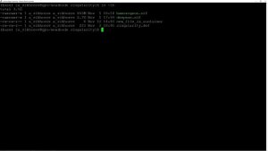 Linux17. Внутреннее устройство контейнеров Singularity