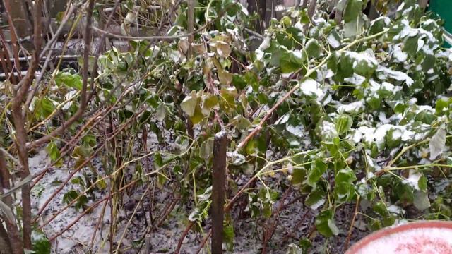 Начало зимы 2019-20гг смотреть онлайн