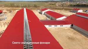Строительство коровника под ключ быстровозводимый коровник Привязное и беспривязное содержание крс