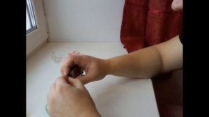 Чехол для брелка сигнализации Шерхан