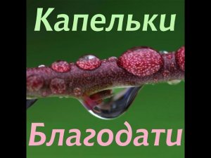 ОЧЕНЬ ИНТЕРЕСНЫЙ РАССКАЗ "Яблоневый двор" часть 1| Капельки благодати