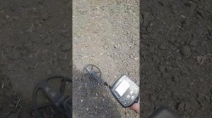 Ака сигнум мфд коп монет на старом хуторе