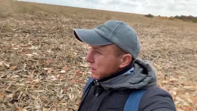 НЕОЖИДАННО НАШЛИ ГРИБЫ | ОЧЕНЬ МНОГО ГРИБОВ В ЛЕСУ! смотреть онлайн