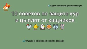 10 советов по защите кур и цыплят от хищников ???????