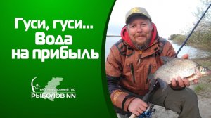 Рыбалка в начале мая. Фидер.