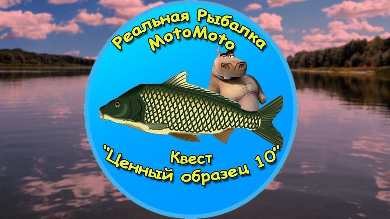Квест 