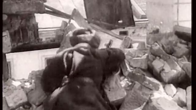 1944. Освобождение Тернополя. Полковник Кучеренко. смотреть онлайн