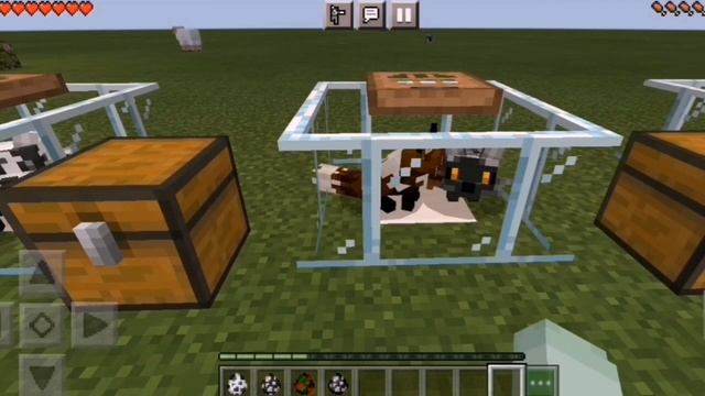 Обзор мода. Майнкрафт версии 1.17 на тяночек и лисичек! //на телефоне смотреть онлайн