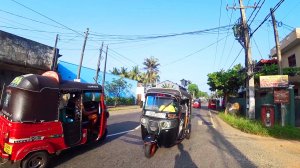 Шри-Ланка. Поехал в Унаватуну. Черепашья ферма и Стритфуд. Пагода Мира #96