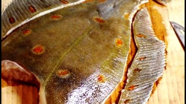 Как чистить камбалу что бы не разлетелось по всему столу