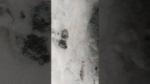 городской детский электрический снегоход-трицикл круглогодичного использования из снегоката