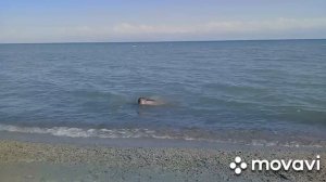 Отдых на Иссык куле, Ананьево пляж  Лиман 2020.Купаемся загораем.