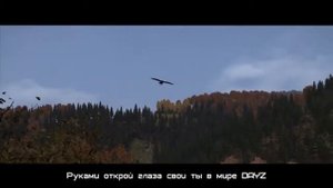 ♣ Открой глаза свои ♣  Песня про DAYZ Standalone