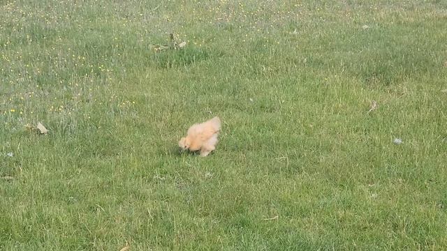 ВОТ ТАК КАЖДЫЙ ДЕНЬ смотреть онлайн