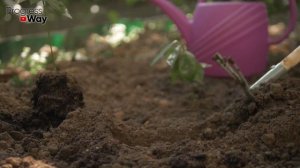 Все ХИТРОСТИ ДЛЯ САДА И ОГОРОДА! Легко И Просто – Убедитесь Сами!