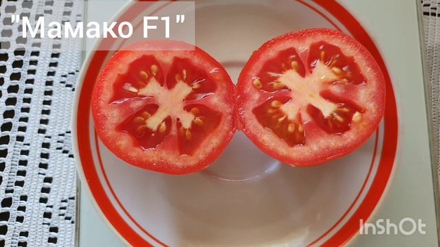 Низкорослые, выносливые, урожайные томаты гибриды. Обзор