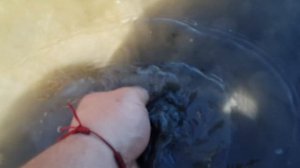 Испитание Скубо Тектора Scuba Tector подводный металлоискатель.