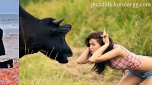 Тост за воспитанных женщин прикольные смешные тосты в прозе на день рождения на юбилей